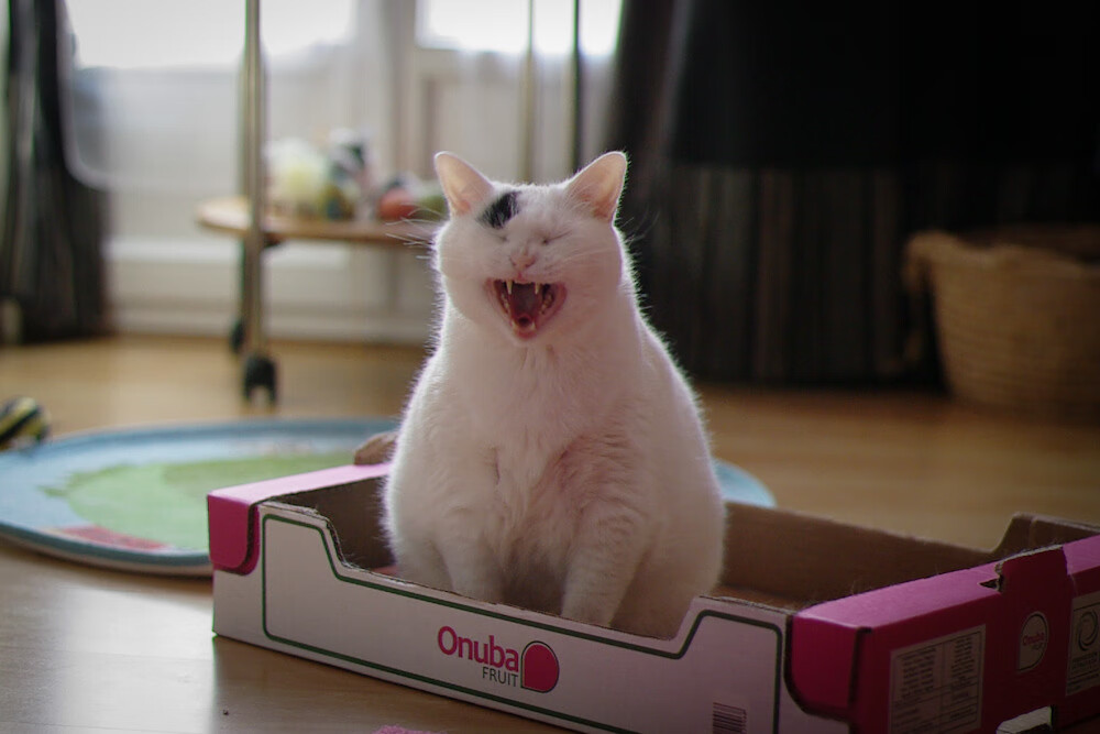 开云网页版-_城市夜跑融合：运动与音乐、灯光盛宴_，夜跑夜景