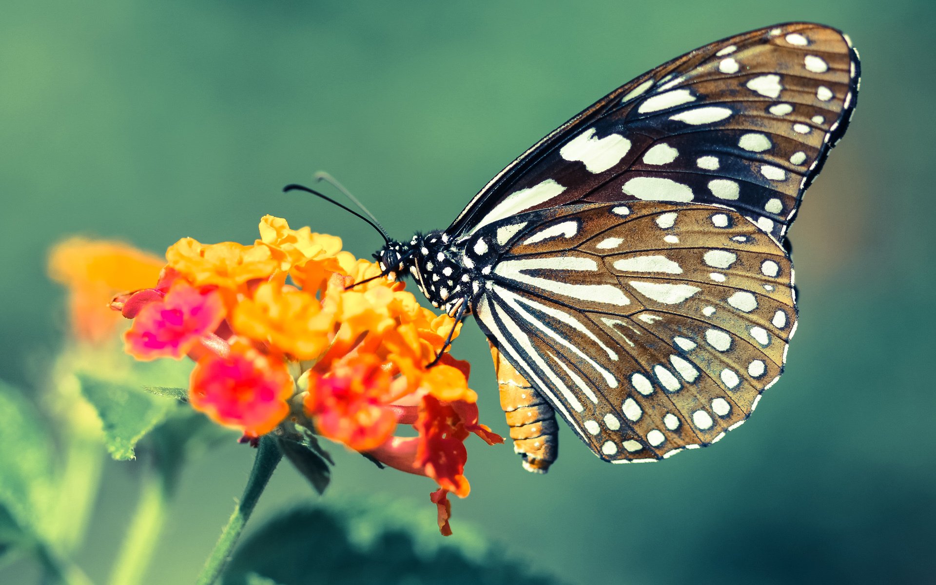 _惊心动魄的决赛瞬间：选手们拼尽全力争夺冠军！_，一场惊心动魄的比赛终于落下帷幕