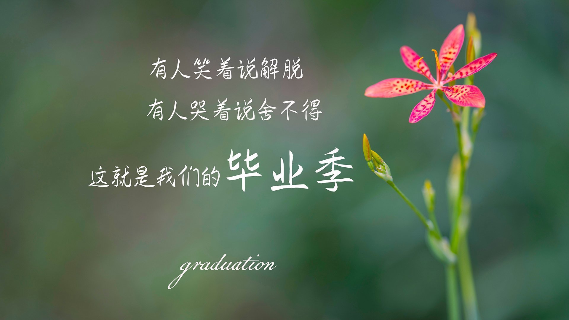 开云中国-_湖人精神焕发，迎来连胜高潮_，湖人lbj