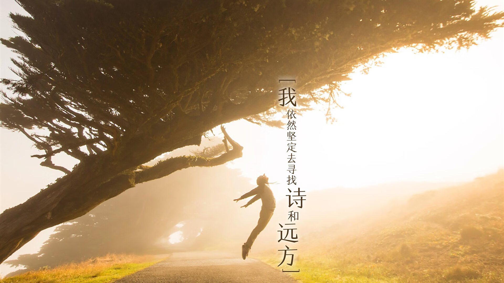 “季后赛高潮不断,强强对决引爆整场比赛热潮”,季后赛好嗨紧张