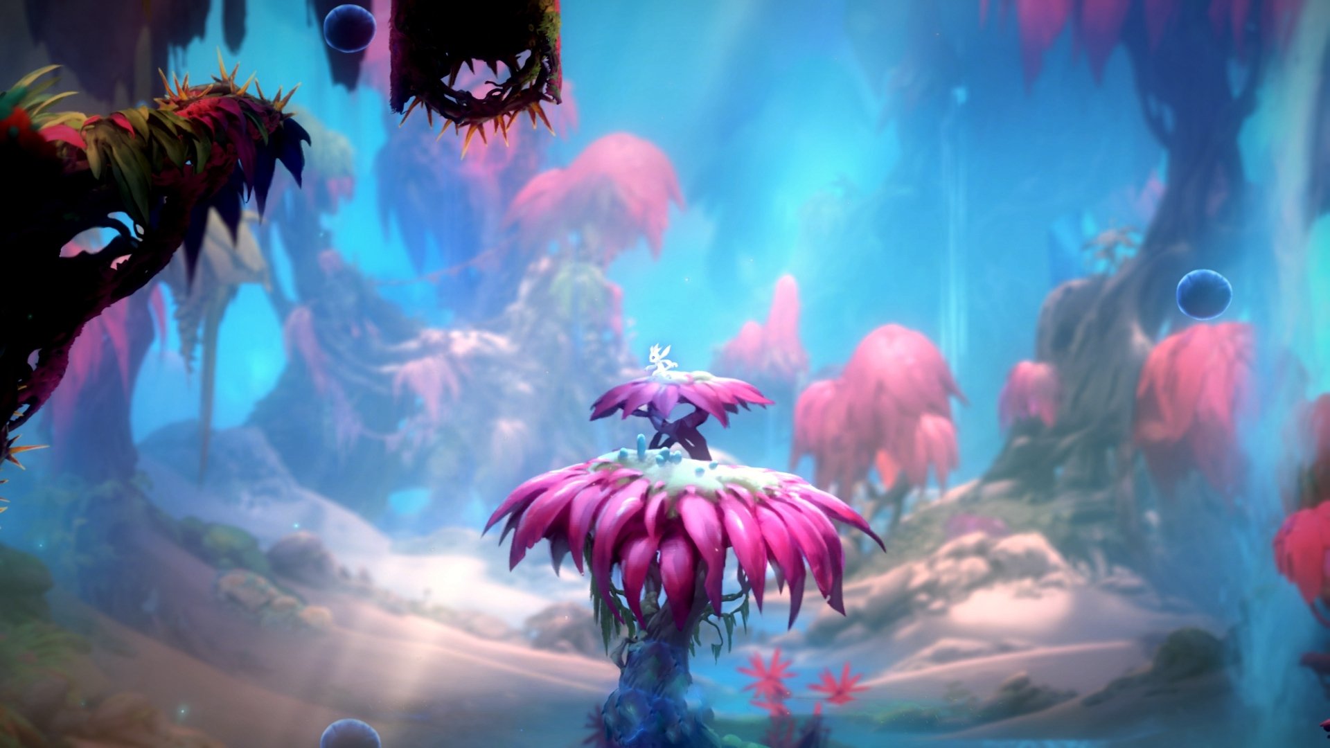 kaiyun体育app-“国王队青年才俊崛起，未来可期”，国王队百科