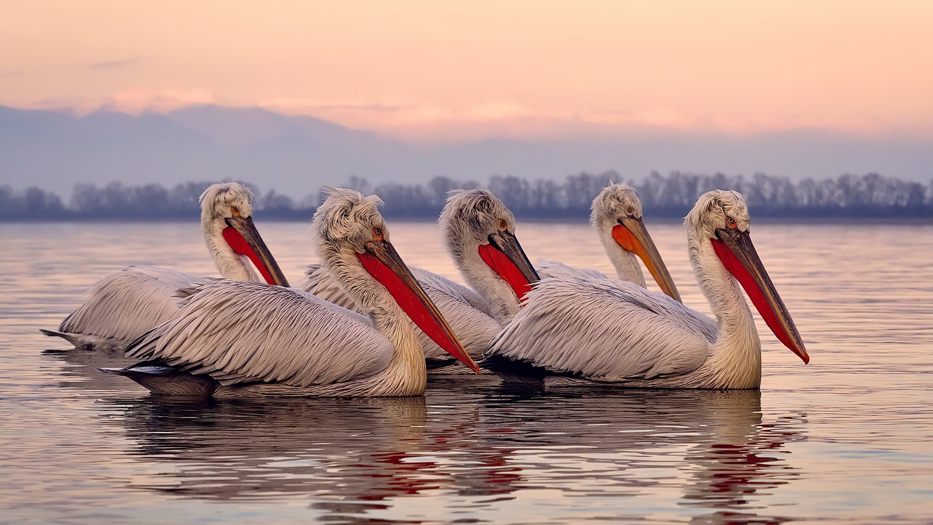 kaiyun中国官方网站-“德甲风云再起，争冠企业势如破竹”，德甲榜首大战