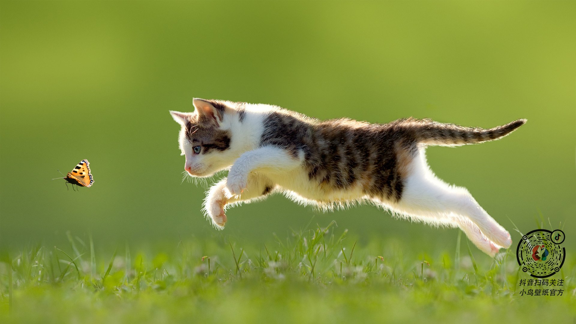 “西甲豪门强势挺进,争冠形势逐步明朗”,西甲豪门排名