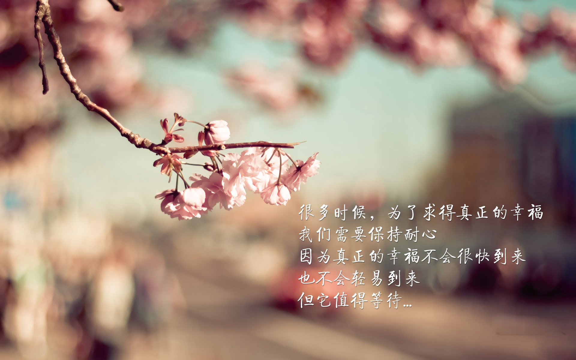 kaiyun官方入口登录-【名将风采】马克·塞尔比的攻守转换与比赛策划，马克塞尔比的人生经历