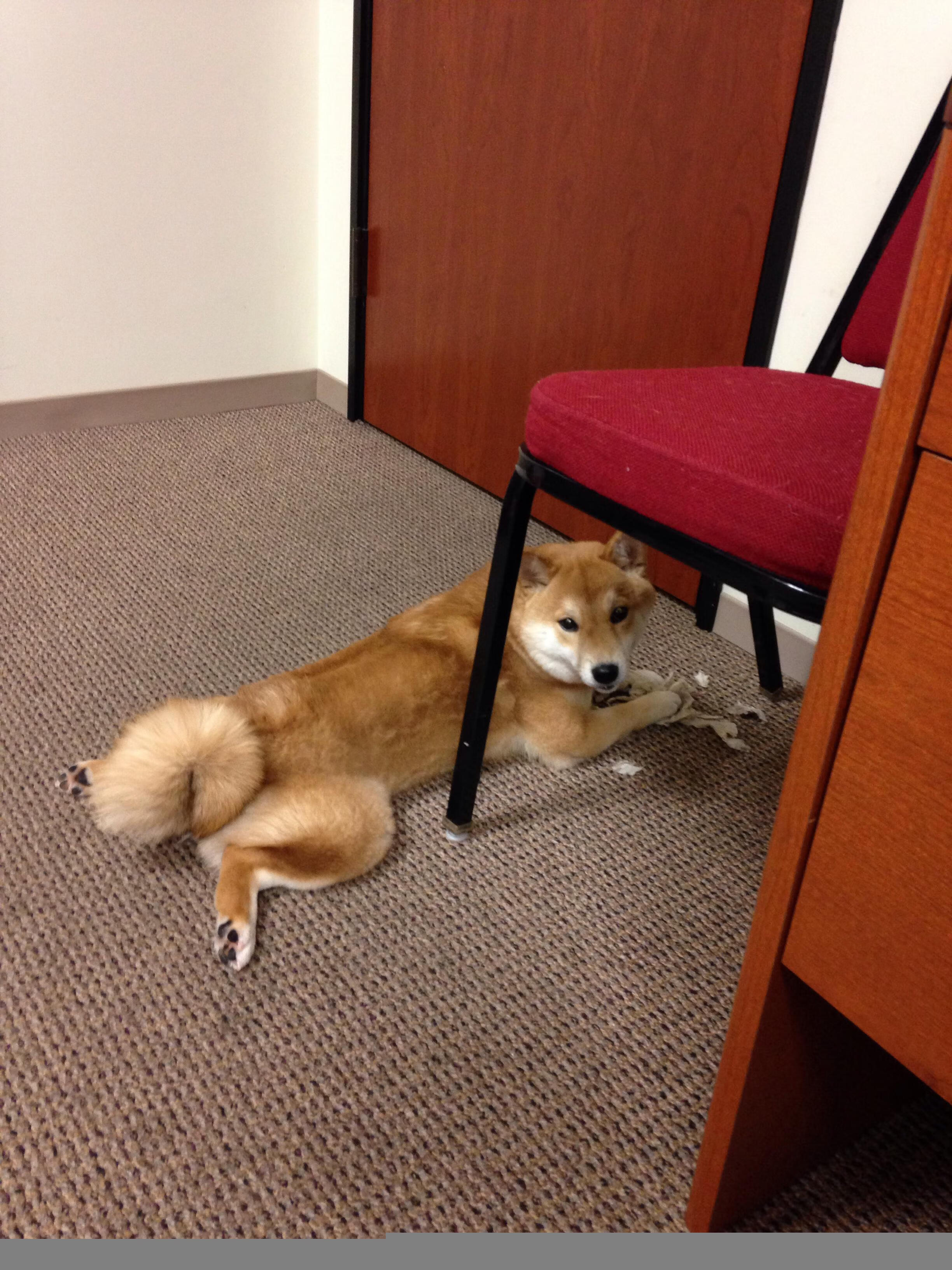 Kaiyun(中国)开云-季后赛激情：每一场都令人热血沸腾的对决，季后赛百度百科