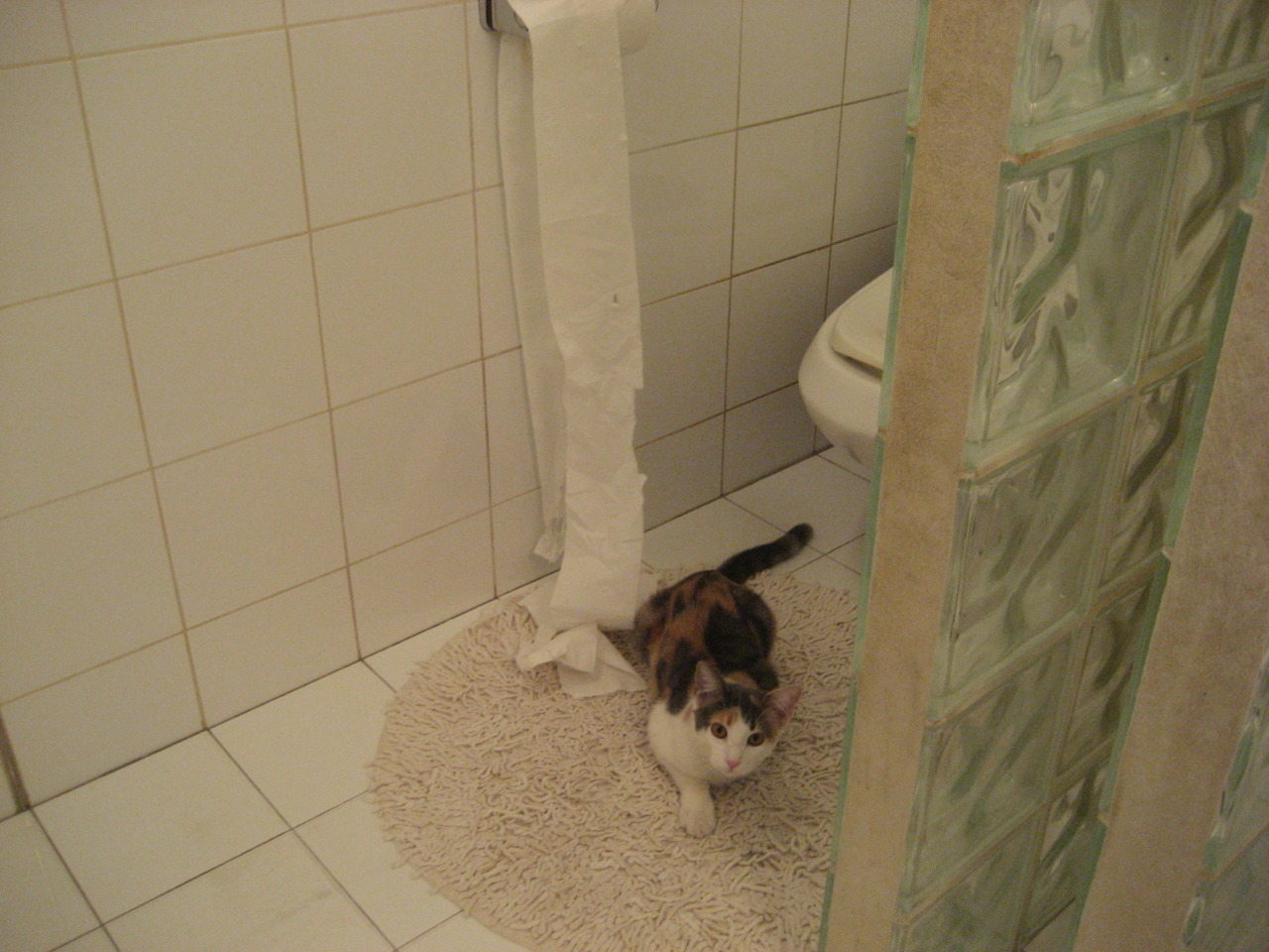 Kaiyun APP-守望先锋 职业选手竞技水平提升，守望先锋职业选择