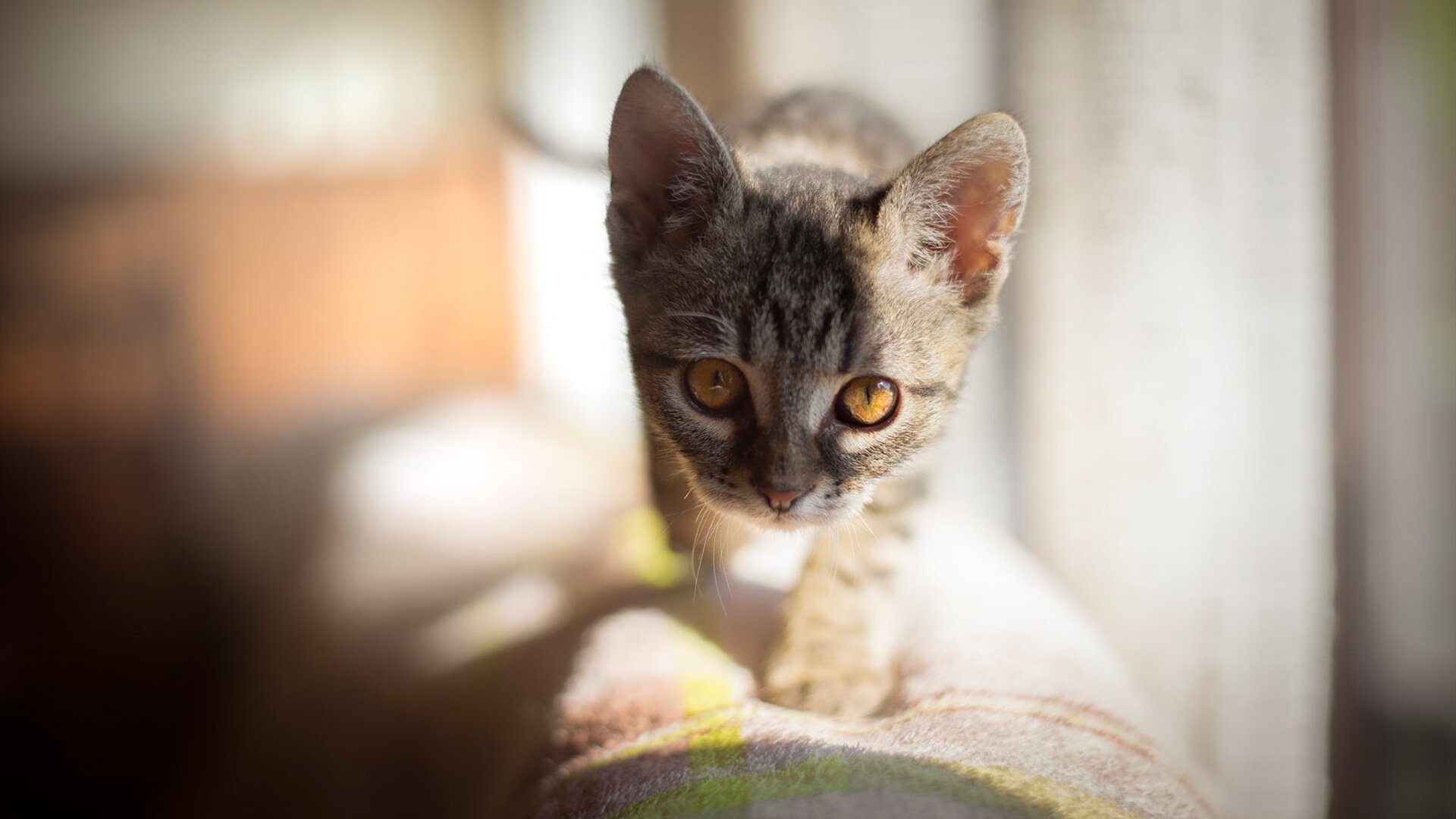 惊天逆转：某场比赛下半场惊天逆转！，惊天逆转足球