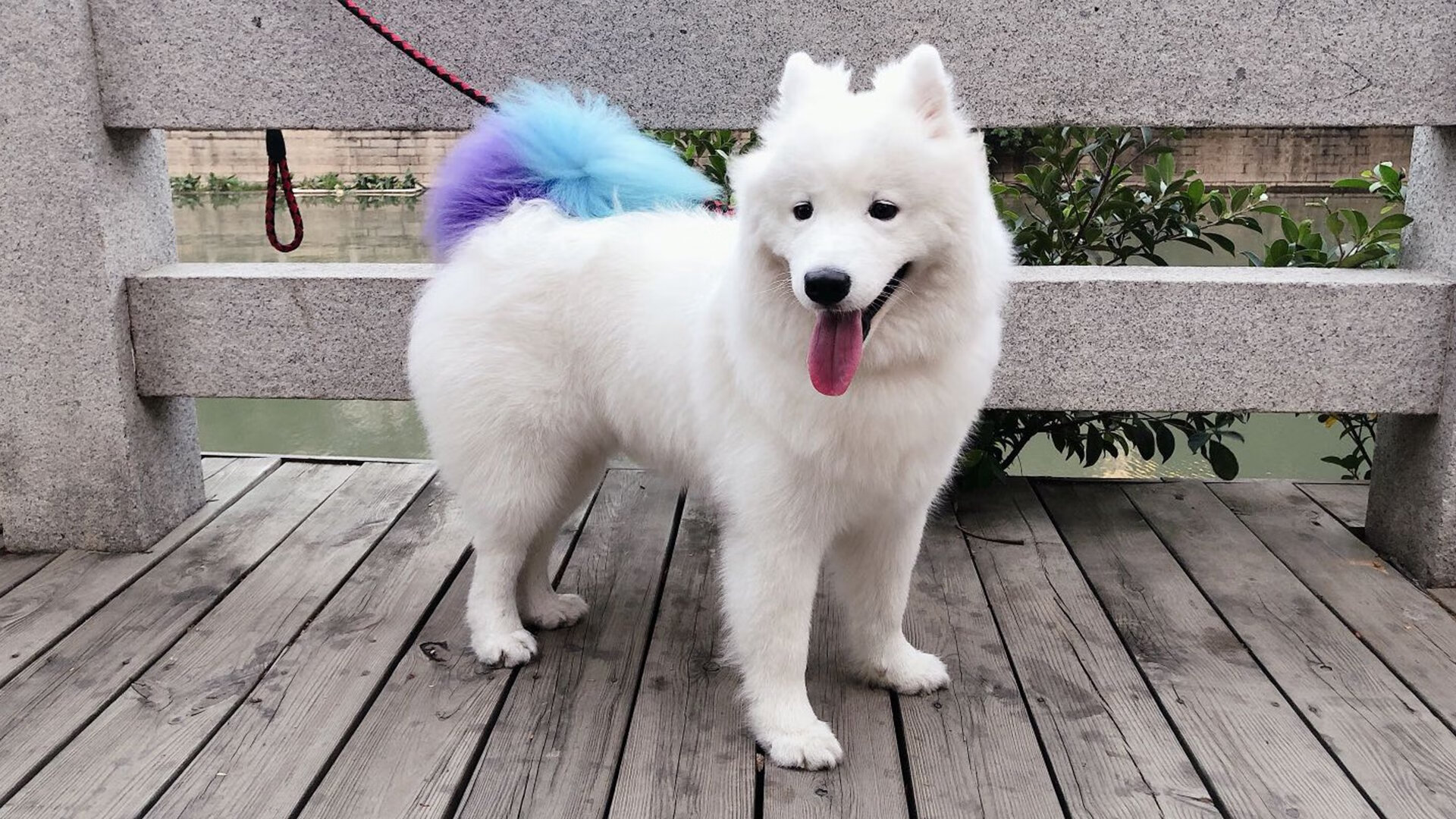 明日方舟“未来战队”季后赛,策略魅力尽显,明日方舟下一期up