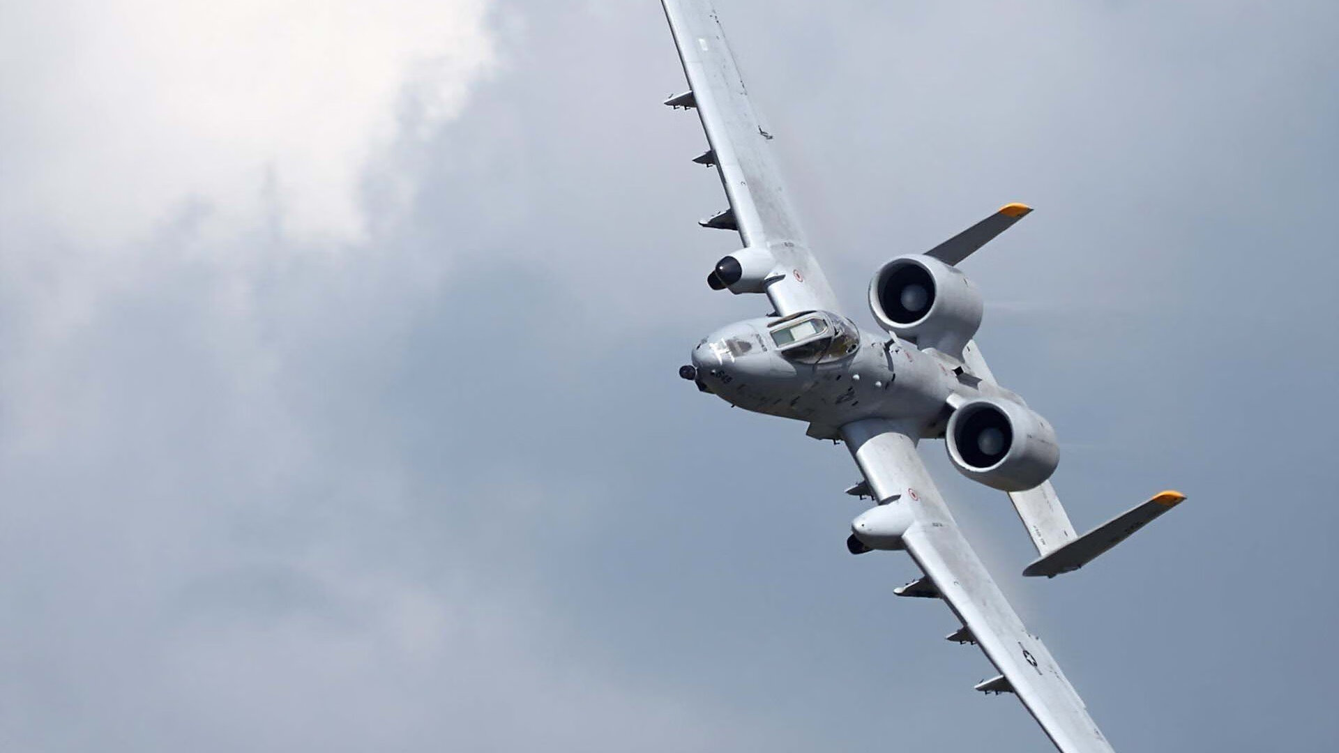 日本马术协会设立“Sinjska Alka”奖学金，支持传统马术研究。