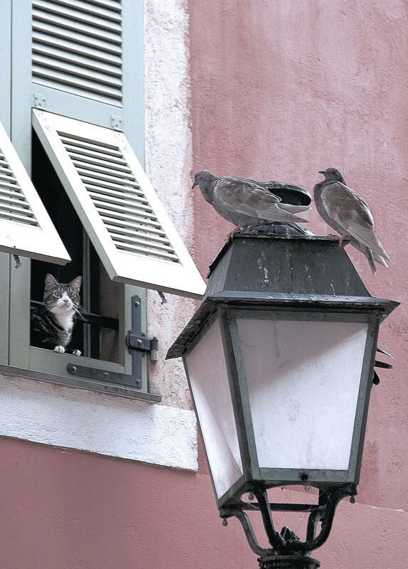 特色城市公园水上运动会,健康生活新趋势,水上运动馆