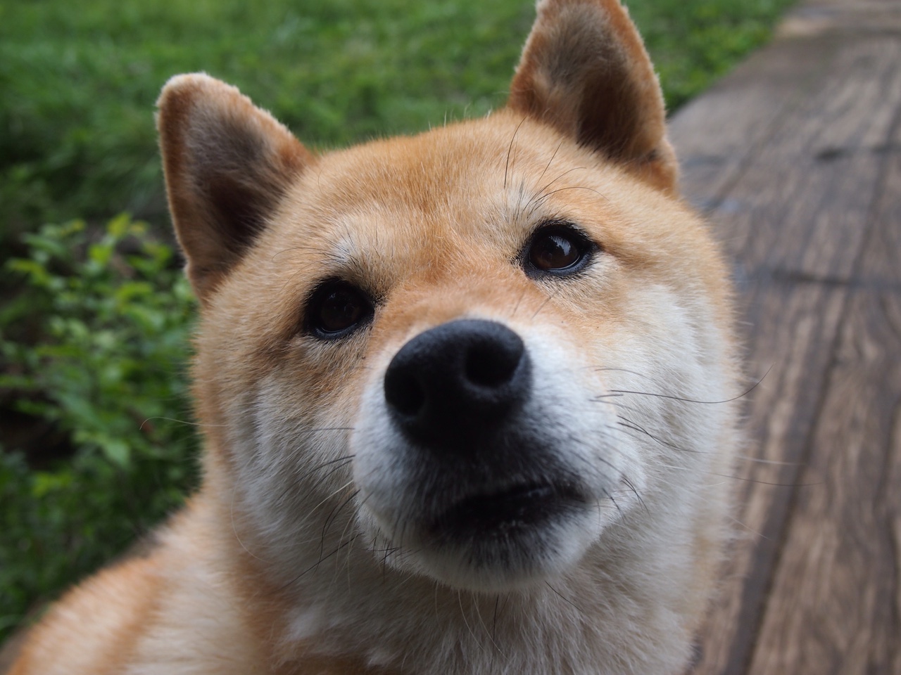 跑酷街头表演,年轻力量的精彩展示,跑酷街道