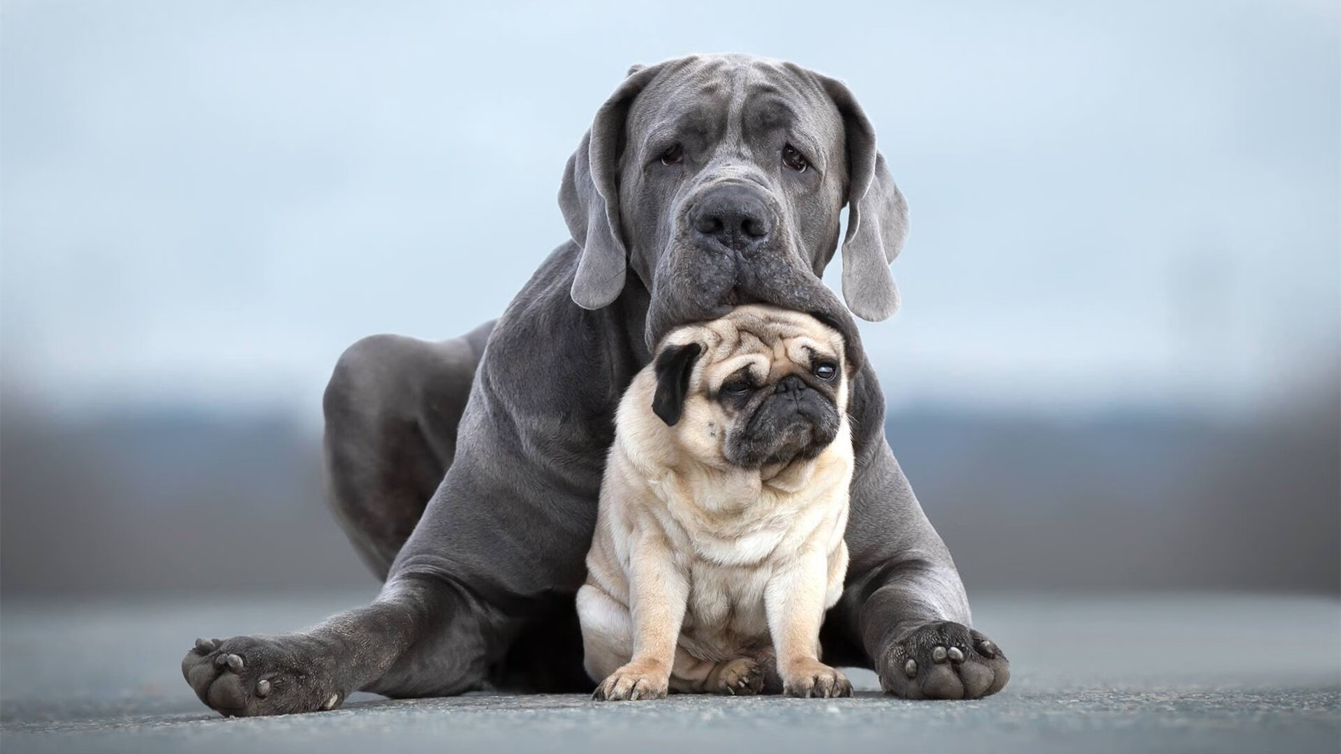 开云中国大陆-雷霆替补席贡献全场近一半得分，深度阵容获赞，雷霆今年阵容