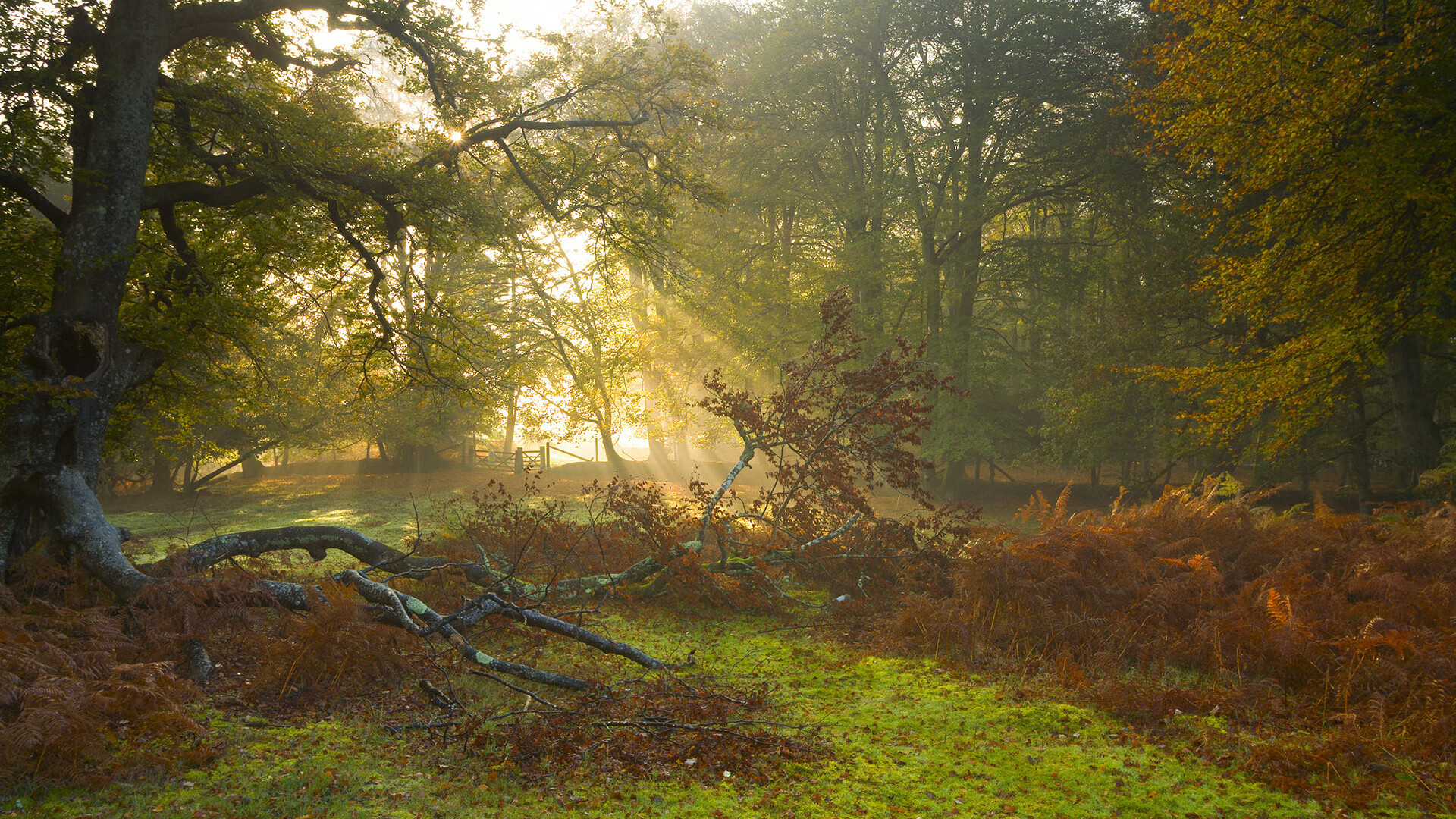青少年“未来领袖”篮球研学营在南京开启，打造青少年领军人才