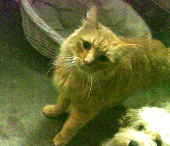 CBA球员集训备战,展现团队合作精神,cba球员训练日程