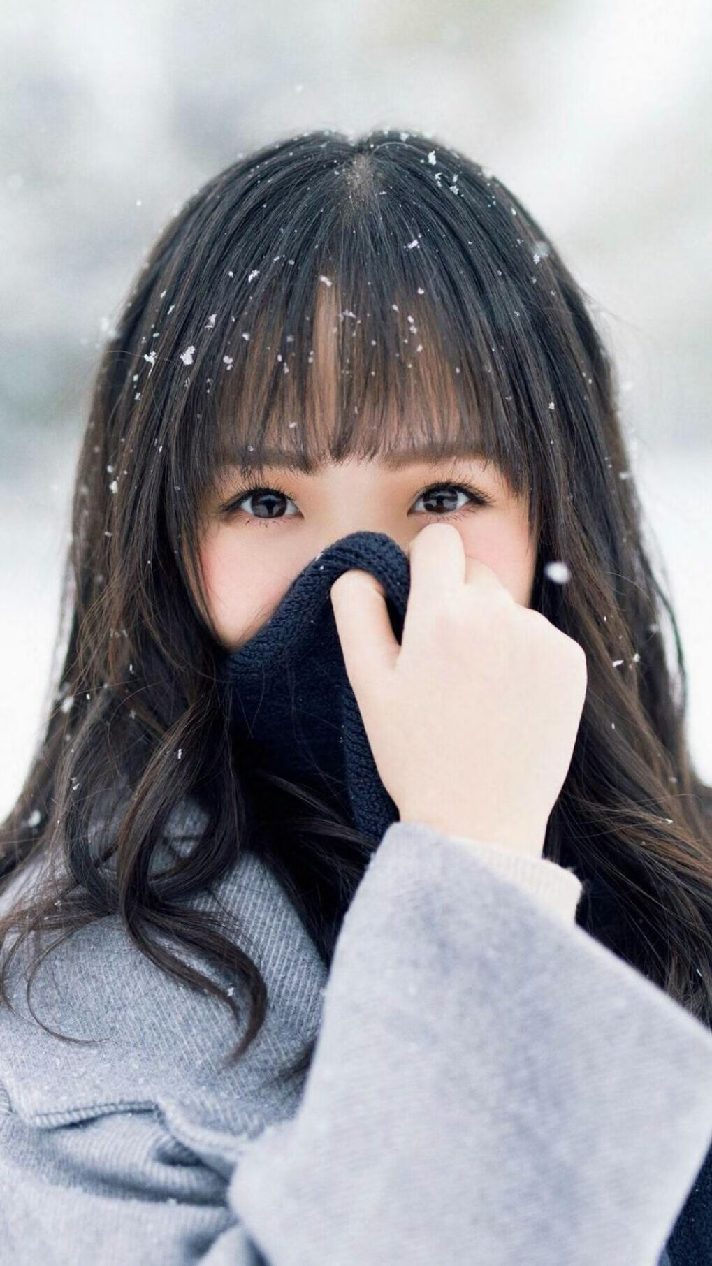 悉尼国王主场表现抢眼,悉尼国王队名单