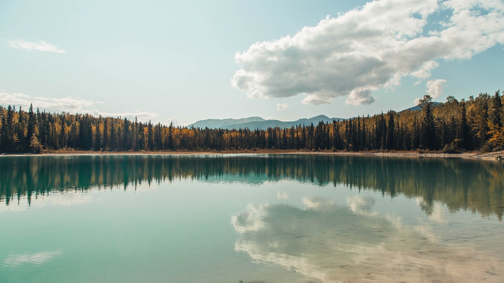 欧国联赛赛程紧张，球队备战各具特色，欧国联赛程比赛结果