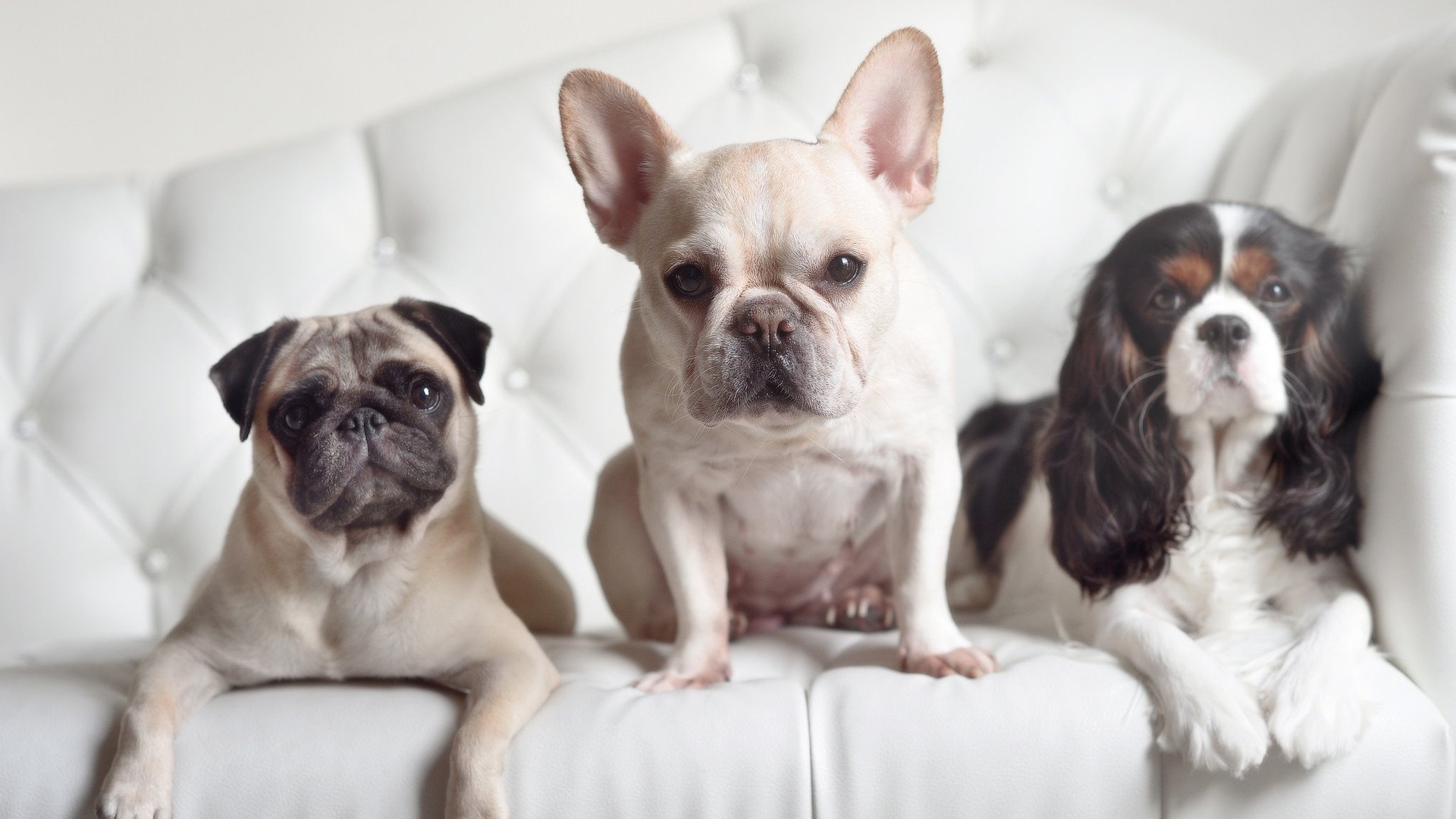 欧洲足球锦标赛冠军争夺激烈进行,能否卫冕?,欧洲足球锦标赛2021