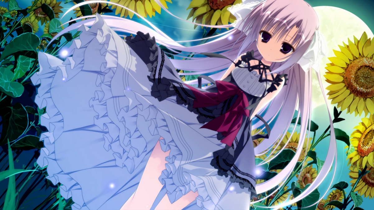 皇家马德里履新主教练,打造新时代,皇家马德里 教练