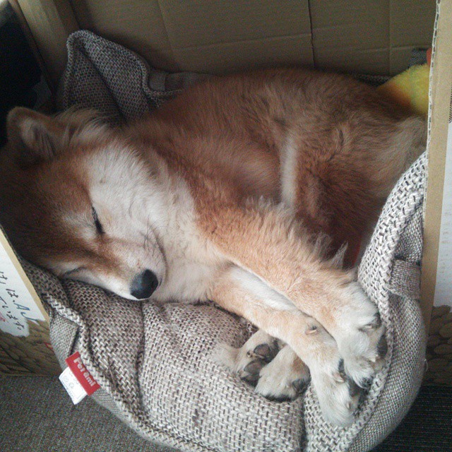 联盟是否应推动更多青训计划,英雄联盟青训队要求