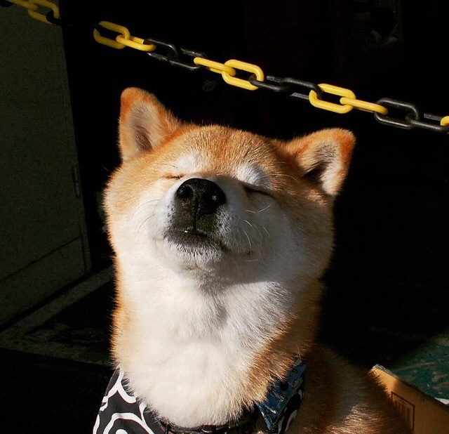 Kaiyun官方登录入口-中超俱乐部青训贡献率统计，中超俱乐部青训排名