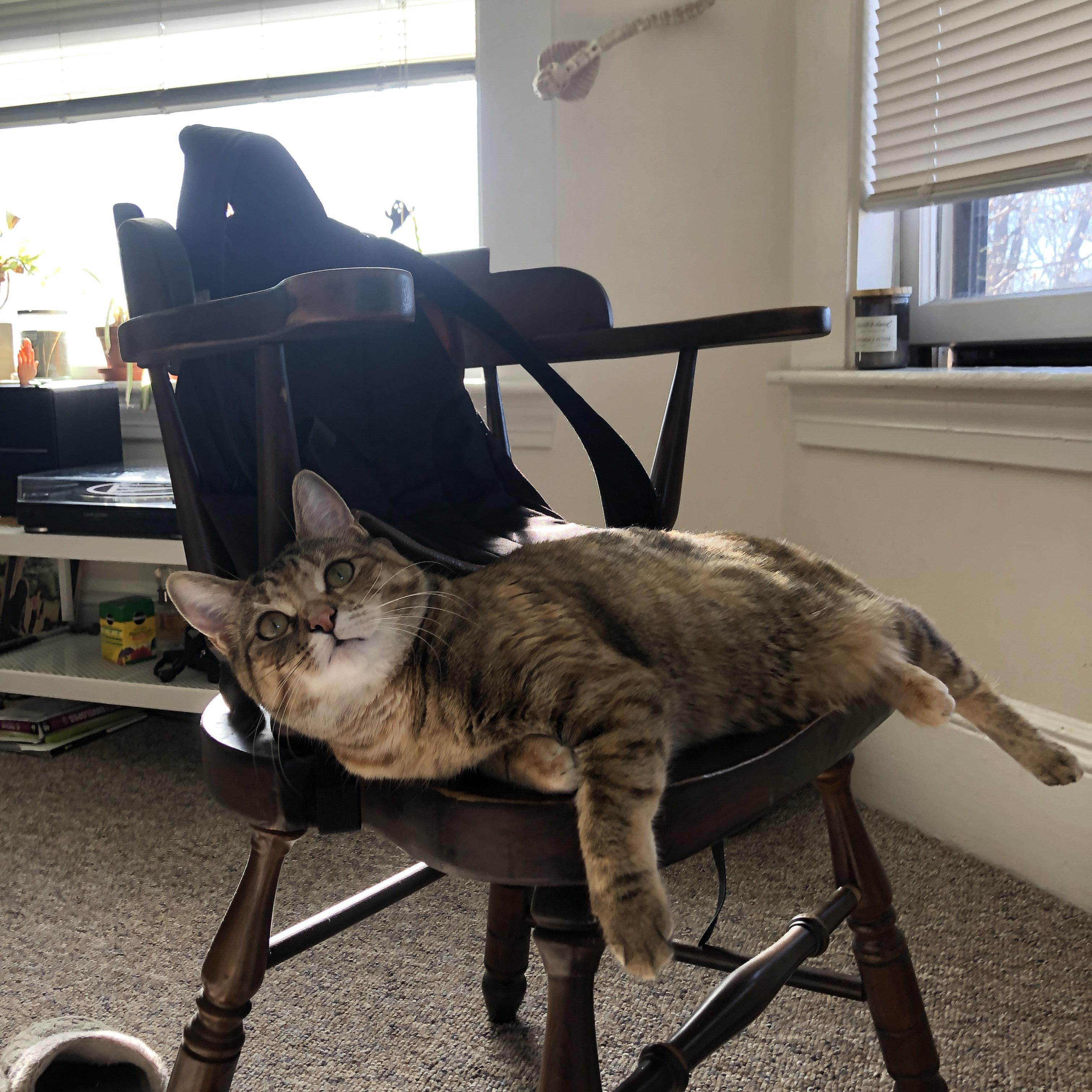 全民健身背景下乡村体育资源配置优化研究，全民健身体育设施建设方案