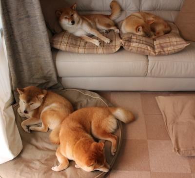 篮球运动员竞技心理韧性培养策略与实证研究,篮球运动员的心理素质训练应把重点放在