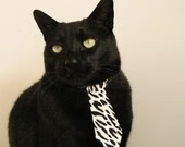 青少年体育运动动机及行为模型构建,青少年体育活动现状调查