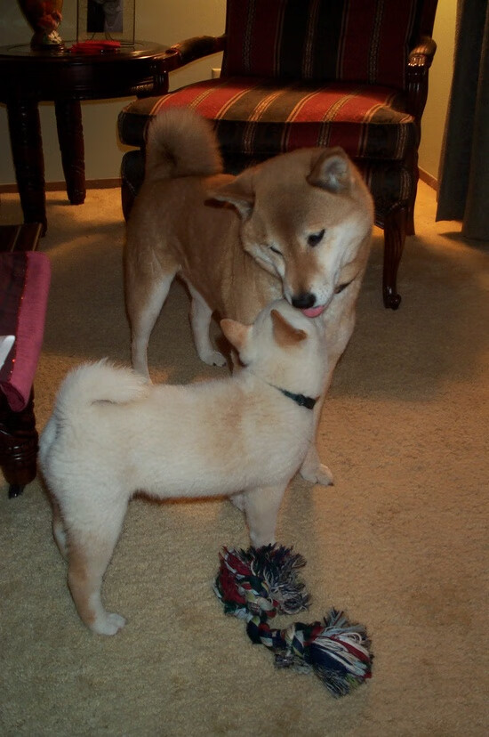 CBA季后赛即将打响 各队积极备战,cba季后赛何时开战