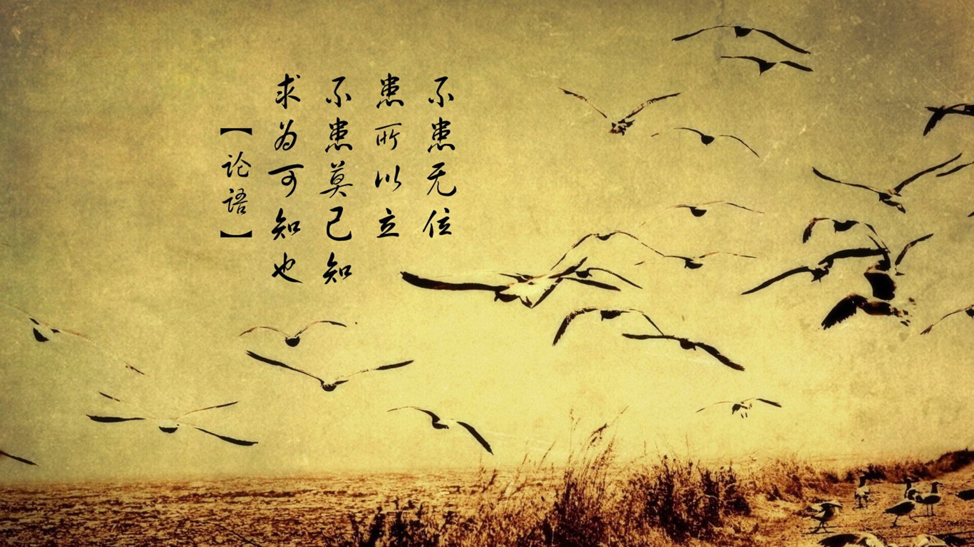 开云中国大陆-国家男篮延续技术提升计划强化球员能力边界，男篮规划球员