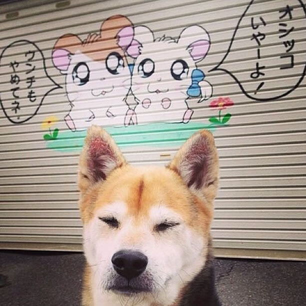 开云体育-天府新区打造轻艇马拉松“样板赛事”