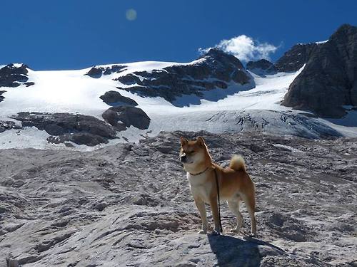 青训后卫选拔标准是否过度依赖身高,后卫的要求