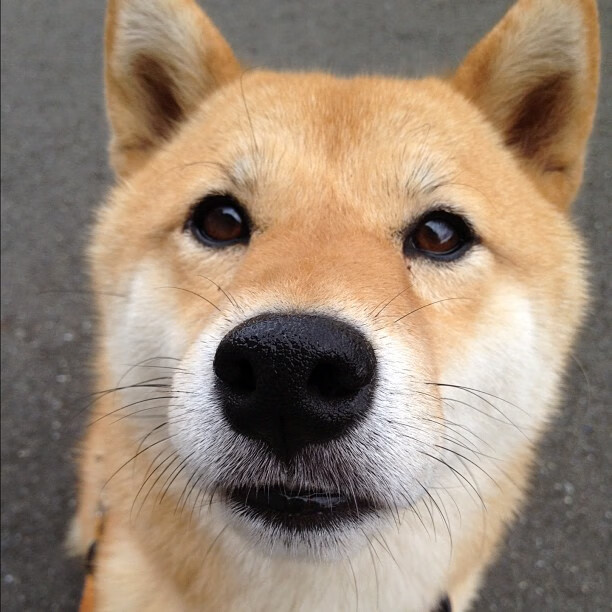 中国足球青少年赛事组织建立评估反馈模型,中国青少年足球发展计划领导办公室