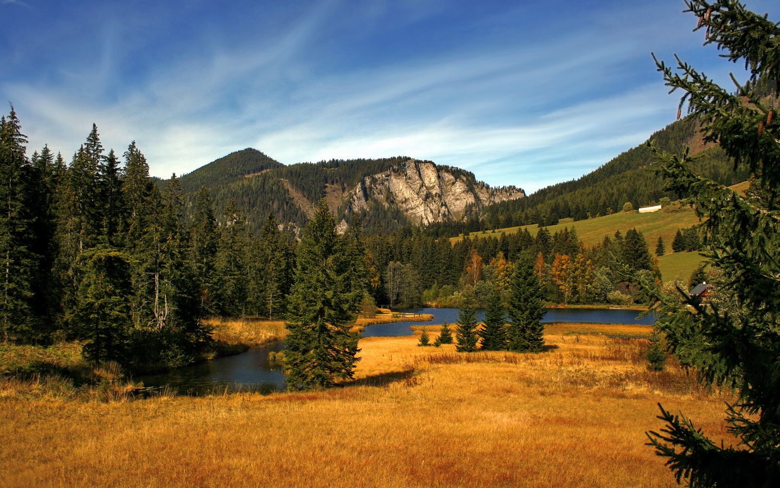 国家队备战重要赛事强化体能训练和技术配合,国家队体能测试谁提出的