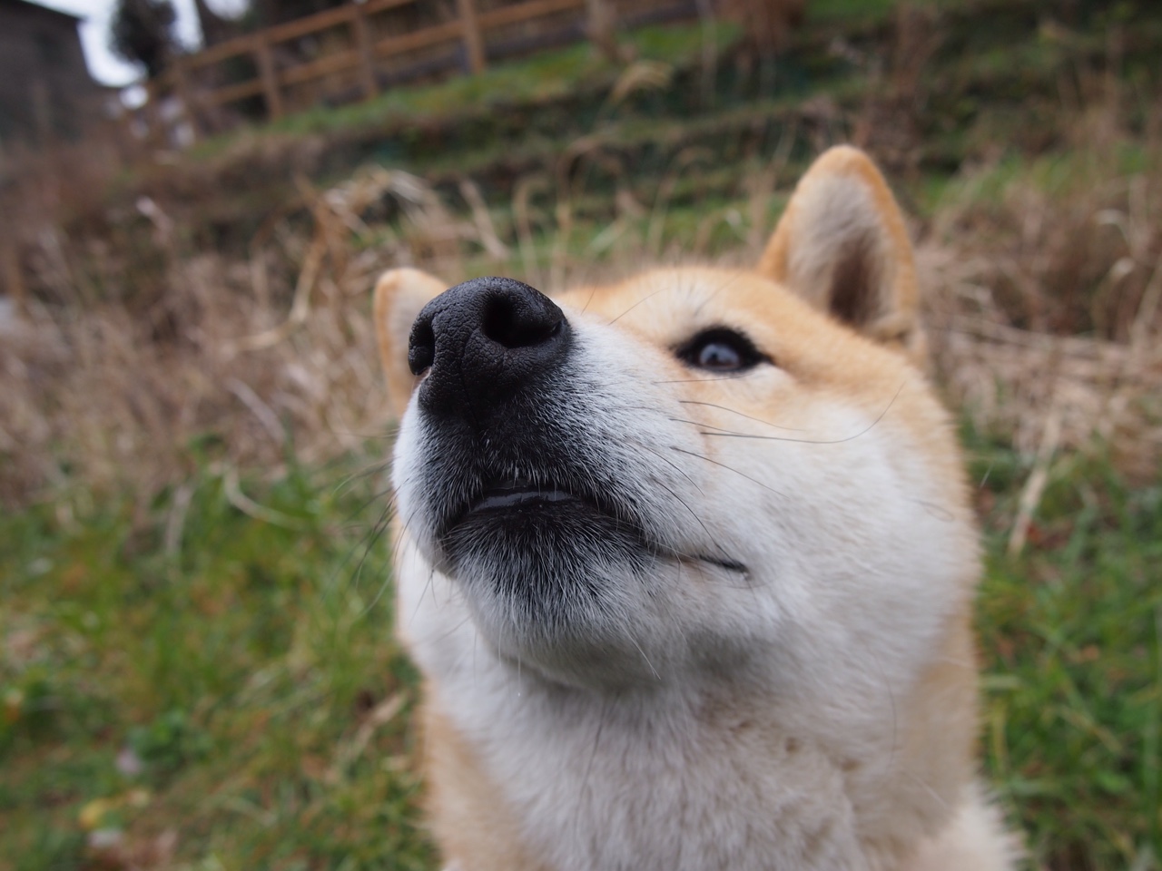 广东女篮挖掘年轻潜力股加速更新换代,广东女篮厉害吗