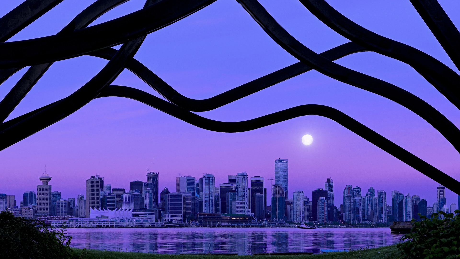 kaiyun官方入口登录-德国中生代泳将施瓦茨稳中求胜