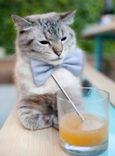 kaiyun登录入口-欧洲杯英雄激战：变阵突破引领潮流！，欧洲杯揭幕战依98db in