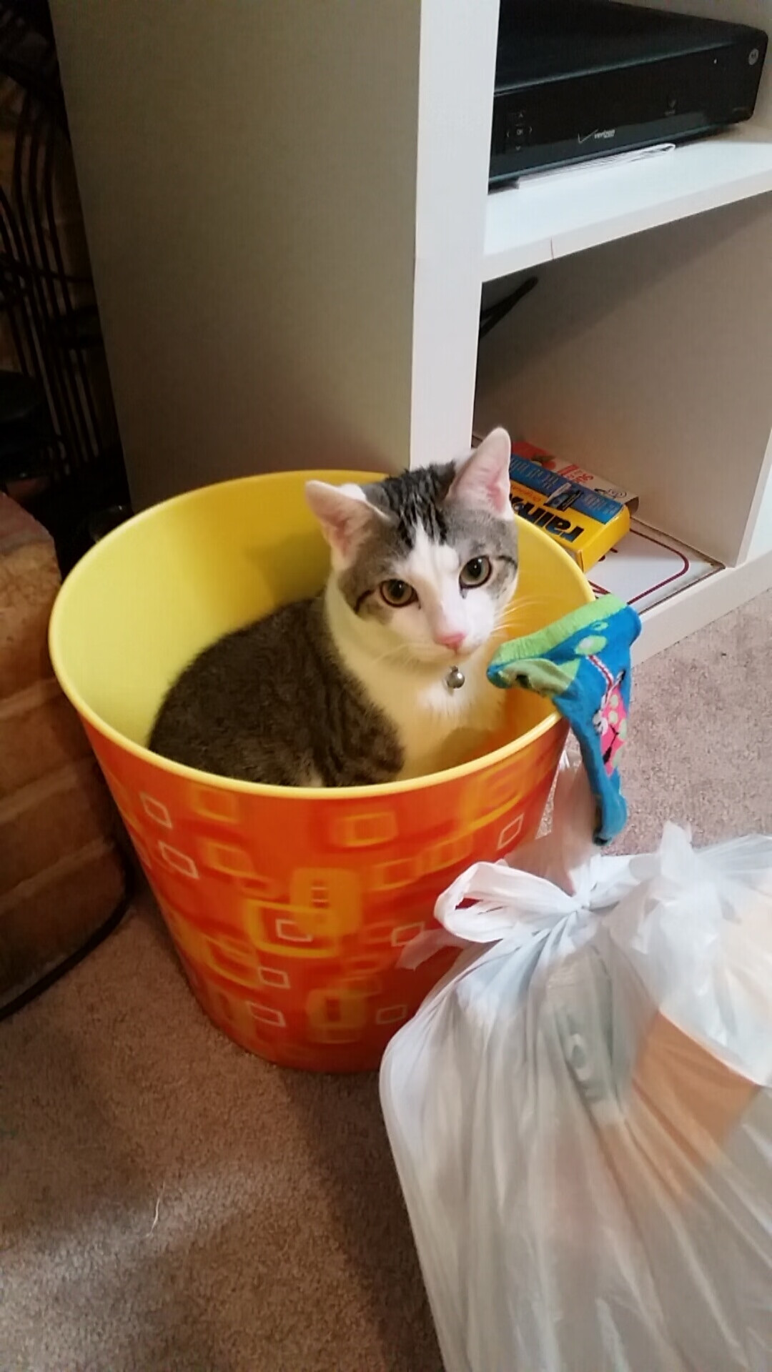 魔术小前锋连续五场抢断表现出色,魔术中锋